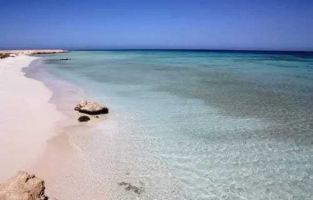 🏖️🌊 Sharm El Luli & El Qulaan Tour – Marsa Alam 🐠🌴 Sharm EL Luli /IMG-20260703-WA0017.jpg